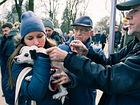 Adoptuj Warszawiaka  Warszawa, Park Skaryszewski, 24 lutego 2019 r. Wydarzenie promujące wśród mieszkańców Warszawy adopcję bezdomnych zwierząt. : na paluchu, adoptuj warszawiaka, bezdomne zwierzęta, park skaryszewski, schonisko dla zwierząt.