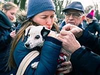 Adoptuj Warszawiaka  Warszawa, Park Skaryszewski, 24 lutego 2019 r. Wydarzenie promujące wśród mieszkańców Warszawy adopcję bezdomnych zwierząt. : na paluchu, adoptuj warszawiaka, bezdomne zwierzęta, park skaryszewski, schonisko dla zwierząt.