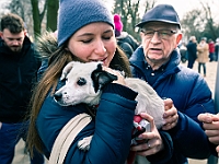 Adoptuj Warszawiaka  Warszawa, Park Skaryszewski, 24 lutego 2019 r. Wydarzenie promujące wśród mieszkańców Warszawy adopcję bezdomnych zwierząt. : na paluchu, adoptuj warszawiaka, bezdomne zwierzęta, park skaryszewski, schonisko dla zwierząt.