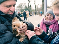 Adoptuj Warszawiaka  Warszawa, Park Skaryszewski, 24 lutego 2019 r. Wydarzenie promujące wśród mieszkańców Warszawy adopcję bezdomnych zwierząt. : na paluchu, adoptuj warszawiaka, bezdomne zwierzęta, park skaryszewski, schonisko dla zwierząt.