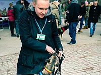 Adoptuj Warszawiaka  Warszawa, Park Skaryszewski, 24 lutego 2019 r. Wydarzenie promujące wśród mieszkańców Warszawy adopcję bezdomnych zwierząt. : na paluchu, adoptuj warszawiaka, bezdomne zwierzęta, park skaryszewski, schonisko dla zwierząt.