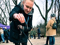 Adoptuj Warszawiaka  Warszawa, Park Skaryszewski, 24 lutego 2019 r. Wydarzenie promujące wśród mieszkańców Warszawy adopcję bezdomnych zwierząt. : na paluchu, adoptuj warszawiaka, bezdomne zwierzęta, park skaryszewski, schonisko dla zwierząt.