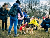 Adoptuj Warszawiaka  Warszawa, Park Skaryszewski, 24 lutego 2019 r. Wydarzenie promujące wśród mieszkańców Warszawy adopcję bezdomnych zwierząt. : na paluchu, adoptuj warszawiaka, bezdomne zwierzęta, park skaryszewski, schonisko dla zwierząt.