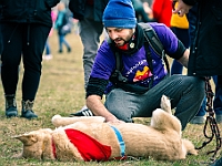 Adoptuj Warszawiaka  Warszawa, Park Skaryszewski, 24 lutego 2019 r. Wydarzenie promujące wśród mieszkańców Warszawy adopcję bezdomnych zwierząt. : na paluchu, adoptuj warszawiaka, bezdomne zwierzęta, park skaryszewski, schonisko dla zwierząt.