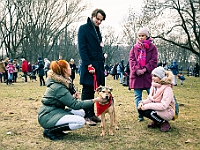 Adoptuj Warszawiaka  Warszawa, Park Skaryszewski, 24 lutego 2019 r. Wydarzenie promujące wśród mieszkańców Warszawy adopcję bezdomnych zwierząt. : na paluchu, adoptuj warszawiaka, bezdomne zwierzęta, park skaryszewski, schonisko dla zwierząt.