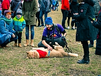 Adoptuj Warszawiaka  Warszawa, Park Skaryszewski, 24 lutego 2019 r. Wydarzenie promujące wśród mieszkańców Warszawy adopcję bezdomnych zwierząt. : na paluchu, adoptuj warszawiaka, bezdomne zwierzęta, park skaryszewski, schonisko dla zwierząt.