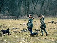 Adoptuj Warszawiaka  Warszawa, Park Skaryszewski, 24 lutego 2019 r. Wydarzenie promujące wśród mieszkańców Warszawy adopcję bezdomnych zwierząt. : na paluchu, adoptuj warszawiaka, bezdomne zwierzęta, park skaryszewski, schonisko dla zwierząt.