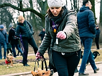 Adoptuj Warszawiaka  Warszawa, Park Skaryszewski, 24 lutego 2019 r. Wydarzenie promujące wśród mieszkańców Warszawy adopcję bezdomnych zwierząt. : na paluchu, adoptuj warszawiaka, bezdomne zwierzęta, park skaryszewski, schonisko dla zwierząt.