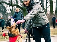 Adoptuj Warszawiaka  Warszawa, Park Skaryszewski, 24 lutego 2019 r. Wydarzenie promujące wśród mieszkańców Warszawy adopcję bezdomnych zwierząt. : na paluchu, adoptuj warszawiaka, bezdomne zwierzęta, park skaryszewski, schonisko dla zwierząt.