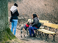 Adoptuj Warszawiaka  Warszawa, Park Skaryszewski, 24 lutego 2019 r. Wydarzenie promujące wśród mieszkańców Warszawy adopcję bezdomnych zwierząt. : na paluchu, adoptuj warszawiaka, bezdomne zwierzęta, park skaryszewski, schonisko dla zwierząt.