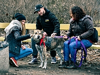 Adoptuj Warszawiaka  Warszawa, Park Skaryszewski, 24 lutego 2019 r. Wydarzenie promujące wśród mieszkańców Warszawy adopcję bezdomnych zwierząt. : na paluchu, adoptuj warszawiaka, bezdomne zwierzęta, park skaryszewski, schonisko dla zwierząt.