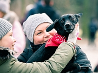 Adoptuj Warszawiaka  Warszawa, Park Skaryszewski, 24 lutego 2019 r. Wydarzenie promujące wśród mieszkańców Warszawy adopcję bezdomnych zwierząt. : na paluchu, adoptuj warszawiaka, bezdomne zwierzęta, park skaryszewski, schonisko dla zwierząt.