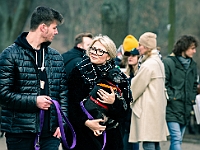 Adoptuj Warszawiaka  Warszawa, Park Skaryszewski, 24 lutego 2019 r. Wydarzenie promujące wśród mieszkańców Warszawy adopcję bezdomnych zwierząt. : na paluchu, adoptuj warszawiaka, bezdomne zwierzęta, park skaryszewski, schonisko dla zwierząt.