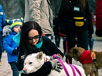 Adoptuj Warszawiaka  Warszawa, Park Skaryszewski, 24 lutego 2019 r. Wydarzenie promujące wśród mieszkańców Warszawy adopcję bezdomnych zwierząt. : na paluchu, adoptuj warszawiaka, bezdomne zwierzęta, park skaryszewski, schonisko dla zwierząt.