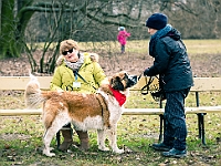 Adoptuj Warszawiaka  Warszawa, Park Skaryszewski, 24 lutego 2019 r. Wydarzenie promujące wśród mieszkańców Warszawy adopcję bezdomnych zwierząt. : na paluchu, adoptuj warszawiaka, bezdomne zwierzęta, park skaryszewski, schonisko dla zwierząt.