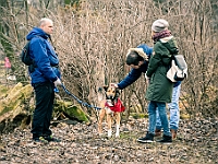 Adoptuj Warszawiaka  Warszawa, Park Skaryszewski, 24 lutego 2019 r. Wydarzenie promujące wśród mieszkańców Warszawy adopcję bezdomnych zwierząt. : na paluchu, adoptuj warszawiaka, bezdomne zwierzęta, park skaryszewski, schonisko dla zwierząt.