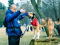 Adoptuj Warszawiaka  Warszawa, Park Skaryszewski, 24 lutego 2019 r. Wydarzenie promujące wśród mieszkańców Warszawy adopcję bezdomnych zwierząt. : na paluchu, adoptuj warszawiaka, bezdomne zwierzęta, park skaryszewski, schonisko dla zwierząt.