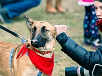Adoptuj Warszawiaka  Warszawa, Park Skaryszewski, 24 lutego 2019 r. Wydarzenie promujące wśród mieszkańców Warszawy adopcję bezdomnych zwierząt. : na paluchu, adoptuj warszawiaka, bezdomne zwierzęta, park skaryszewski, schonisko dla zwierząt.