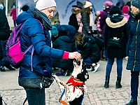 Adoptuj Warszawiaka  Warszawa, Park Skaryszewski, 24 lutego 2019 r. Wydarzenie promujące wśród mieszkańców Warszawy adopcję bezdomnych zwierząt. : na paluchu, adoptuj warszawiaka, bezdomne zwierzęta, park skaryszewski, schonisko dla zwierząt.