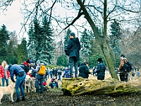 Adoptuj Warszawiaka  Warszawa, Park Skaryszewski, 24 lutego 2019 r. Wydarzenie promujące wśród mieszkańców Warszawy adopcję bezdomnych zwierząt. : na paluchu, adoptuj warszawiaka, bezdomne zwierzęta, park skaryszewski, schonisko dla zwierząt.
