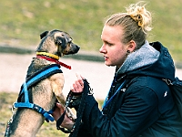 Adoptuj Warszawiaka  Warszawa, Park Skaryszewski, 24 lutego 2019 r. Wydarzenie promujące wśród mieszkańców Warszawy adopcję bezdomnych zwierząt. : na paluchu, adoptuj warszawiaka, bezdomne zwierzęta, park skaryszewski, schonisko dla zwierząt.