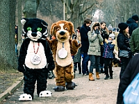 Adoptuj Warszawiaka  Warszawa, Park Skaryszewski, 24 lutego 2019 r. Wydarzenie promujące wśród mieszkańców Warszawy adopcję bezdomnych zwierząt. : na paluchu, adoptuj warszawiaka, bezdomne zwierzęta, park skaryszewski, schonisko dla zwierząt.