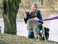 Adoptuj Warszawiaka  17 marca 2019 r. Warszawa - Park Moczydło. : adoptuj warszawiaka, kundelek, schronisko na paluchu, bezdomne zwierzęta, wybierz kundelka, wybieram kundelka.