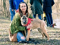 Adoptuj Warszawiaka  17 marca 2019 r. Warszawa - Park Moczydło. : adoptuj warszawiaka, kundelek, schronisko na paluchu, bezdomne zwierzęta, wybierz kundelka, wybieram kundelka.