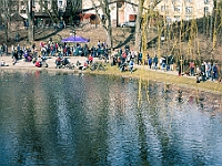 Adoptuj Warszawiaka  17 marca 2019 r. Warszawa - Park Moczydło. : adoptuj warszawiaka, kundelek, schronisko na paluchu, bezdomne zwierzęta, wybierz kundelka, wybieram kundelka.