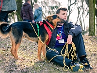 Adoptuj Warszawiaka  17 marca 2019 r. Warszawa - Park Moczydło. : adoptuj warszawiaka, kundelek, schronisko na paluchu, bezdomne zwierzęta, wybierz kundelka, wybieram kundelka.