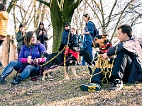 Adoptuj Warszawiaka  17 marca 2019 r. Warszawa - Park Moczydło. : adoptuj warszawiaka, kundelek, schronisko na paluchu, bezdomne zwierzęta, wybierz kundelka, wybieram kundelka.