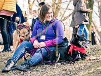 Adoptuj Warszawiaka  17 marca 2019 r. Warszawa - Park Moczydło. : adoptuj warszawiaka, kundelek, schronisko na paluchu, bezdomne zwierzęta, wybierz kundelka, wybieram kundelka.