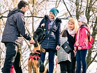 Adoptuj Warszawiaka  17 marca 2019 r. Warszawa - Park Moczydło. : adoptuj warszawiaka, kundelek, schronisko na paluchu, bezdomne zwierzęta, wybierz kundelka, wybieram kundelka.