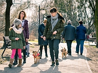 Adoptuj Warszawiaka  17 marca 2019 r. Warszawa - Park Moczydło. : adoptuj warszawiaka, kundelek, schronisko na paluchu, bezdomne zwierzęta, wybierz kundelka, wybieram kundelka.