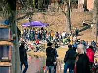 Adoptuj Warszawiaka  17 marca 2019 r. Warszawa - Park Moczydło. : adoptuj warszawiaka, kundelek, schronisko na paluchu, bezdomne zwierzęta, wybierz kundelka, wybieram kundelka.