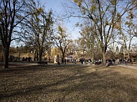 Adoptuj Warszawiaka  17 marca 2019 r. Warszawa - Park Moczydło. : adoptuj warszawiaka, kundelek, schronisko na paluchu, bezdomne zwierzęta, wybierz kundelka, wybieram kundelka.