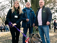 Adoptuj Warszawiaka  17 marca 2019 r. Warszawa - Park Moczydło. : adoptuj warszawiaka, kundelek, schronisko na paluchu, bezdomne zwierzęta, wybierz kundelka, wybieram kundelka.