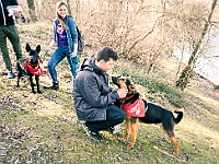 Adoptuj Warszawiaka  17 marca 2019 r. Warszawa - Park Moczydło. : adoptuj warszawiaka, kundelek, schronisko na paluchu, bezdomne zwierzęta, wybierz kundelka, wybieram kundelka.