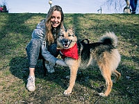 Adoptuj Warszawiaka  17 marca 2019 r. Warszawa - Park Moczydło. : adoptuj warszawiaka, kundelek, schronisko na paluchu, bezdomne zwierzęta, wybierz kundelka, wybieram kundelka.