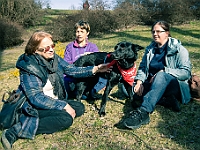 Adoptuj Warszawiaka  17 marca 2019 r. Warszawa - Park Moczydło. : adoptuj warszawiaka, kundelek, schronisko na paluchu, bezdomne zwierzęta, wybierz kundelka, wybieram kundelka.