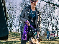 Adoptuj Warszawiaka  17 marca 2019 r. Warszawa - Park Moczydło. : adoptuj warszawiaka, kundelek, schronisko na paluchu, bezdomne zwierzęta, wybierz kundelka, wybieram kundelka.