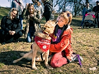 Adoptuj Warszawiaka  17 marca 2019 r. Warszawa - Park Moczydło. : adoptuj warszawiaka, kundelek, schronisko na paluchu, bezdomne zwierzęta, wybierz kundelka, wybieram kundelka.