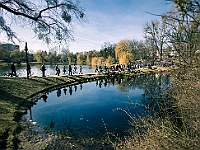 Adoptuj Warszawiaka  17 marca 2019 r. Warszawa - Park Moczydło. : adoptuj warszawiaka, kundelek, schronisko na paluchu, bezdomne zwierzęta, wybierz kundelka, wybieram kundelka.