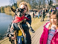 Adoptuj Warszawiaka  17 marca 2019 r. Warszawa - Park Moczydło. : adoptuj warszawiaka, kundelek, schronisko na paluchu, bezdomne zwierzęta, wybierz kundelka, wybieram kundelka.