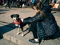 Adoptuj Warszawiaka  17 marca 2019 r. Warszawa - Park Moczydło. : adoptuj warszawiaka, kundelek, schronisko na paluchu, bezdomne zwierzęta, wybierz kundelka, wybieram kundelka.