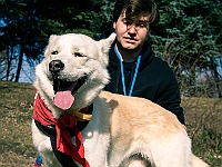 Adoptuj Warszawiaka  17 marca 2019 r. Warszawa - Park Moczydło. : adoptuj warszawiaka, kundelek, schronisko na paluchu, bezdomne zwierzęta, wybierz kundelka, wybieram kundelka.