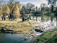 Adoptuj Warszawiaka  17 marca 2019 r. Warszawa - Park Moczydło. : adoptuj warszawiaka, kundelek, schronisko na paluchu, bezdomne zwierzęta, wybierz kundelka, wybieram kundelka.