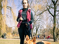 Adoptuj Warszawiaka  17 marca 2019 r. Warszawa - Park Moczydło. : adoptuj warszawiaka, kundelek, schronisko na paluchu, bezdomne zwierzęta, wybierz kundelka, wybieram kundelka.