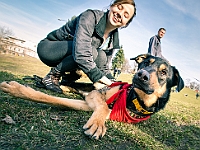 Adoptuj Warszawiaka  17 marca 2019 r. Warszawa - Park Moczydło. : adoptuj warszawiaka, kundelek, schronisko na paluchu, bezdomne zwierzęta, wybierz kundelka, wybieram kundelka.