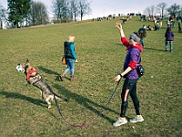 Adoptuj Warszawiaka  17 marca 2019 r. Warszawa - Park Moczydło. : adoptuj warszawiaka, kundelek, schronisko na paluchu, bezdomne zwierzęta, wybierz kundelka, wybieram kundelka.